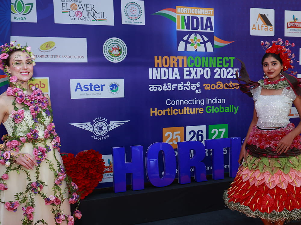 Visitor Profiles — image 9