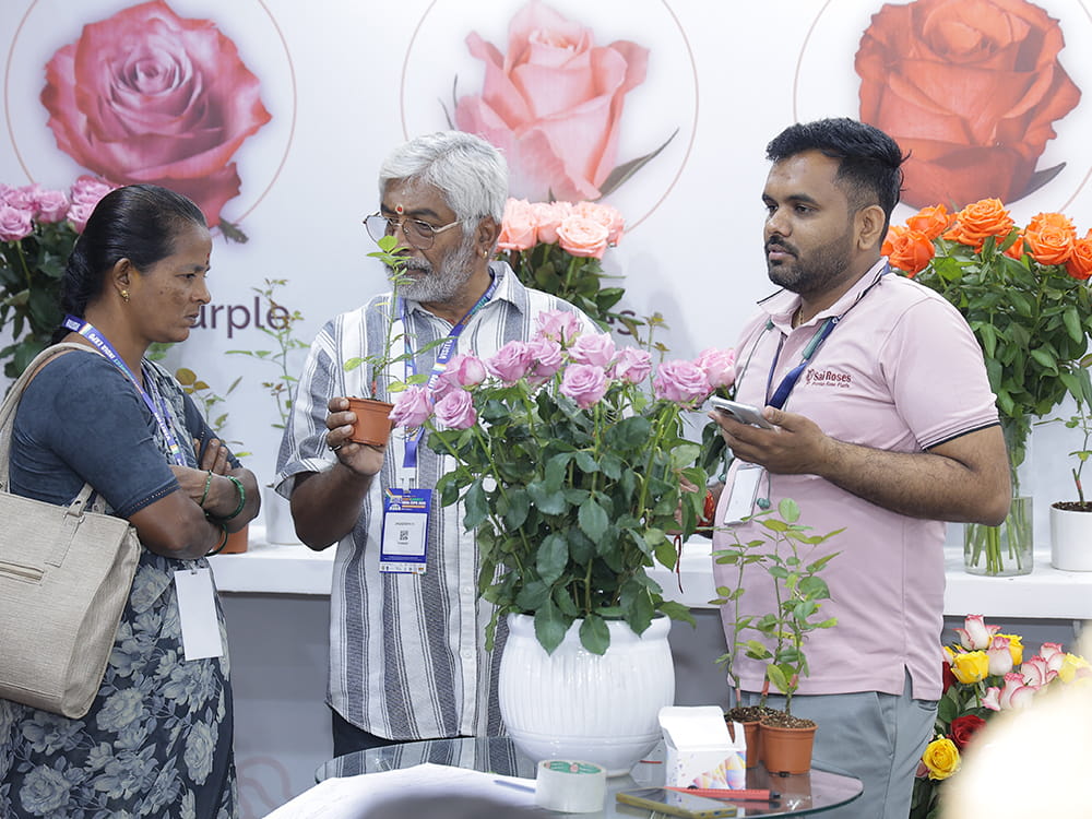 Visitor Profiles — image 5