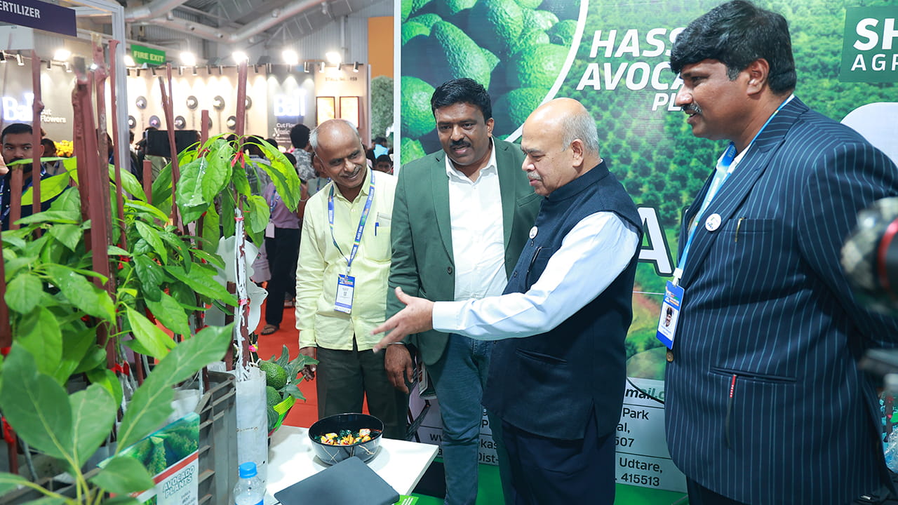 Visitor Profile Image