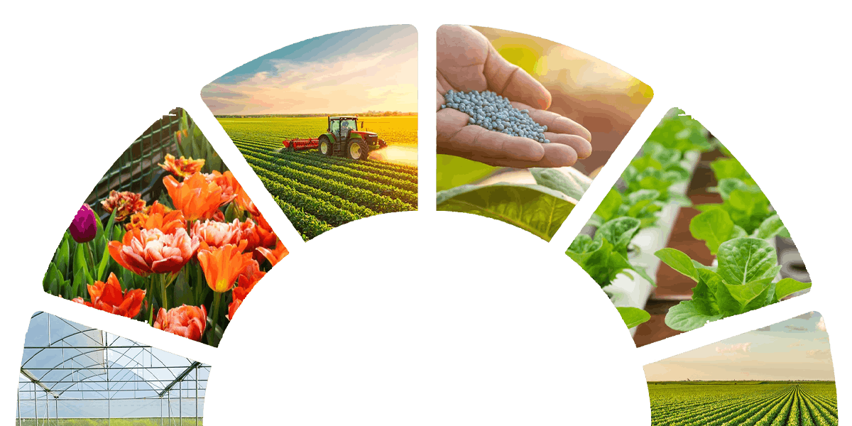 One Floor. Every Decision Maker.