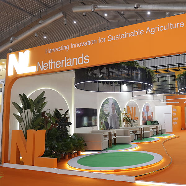 15+ Country Pavilions on Your Doorstep